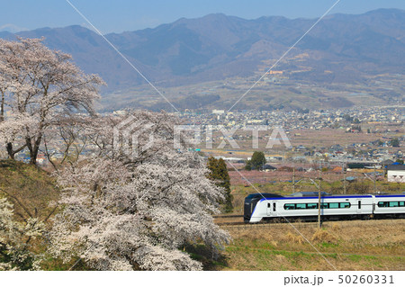 勝沼ぶどう郷　桜　E353系 50260331