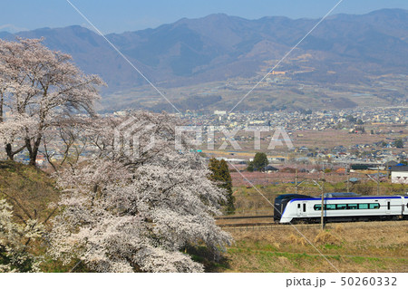 勝沼ぶどう郷 桜 E353系 勝沼ぶどう郷 桜 E353系 50260332