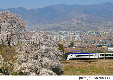 勝沼ぶどう郷　桜　E353系 50260334