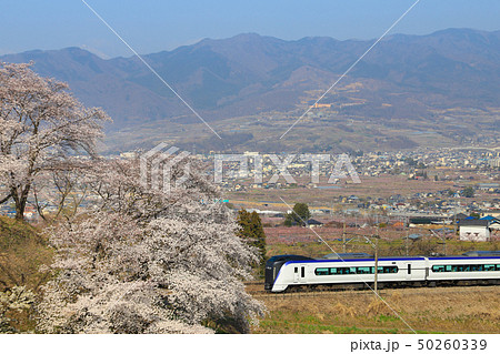 勝沼ぶどう郷　桜　E353系 50260339