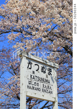 勝沼ぶどう郷駅 甚六桜 勝沼ぶどう郷駅 甚六桜 50260344