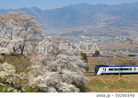 勝沼ぶどう郷 桜 E353系 勝沼ぶどう郷 桜 E353系 50260349