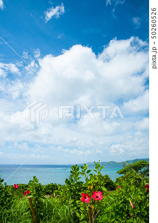 石垣島 玉取崎展望台 石垣島 玉取崎展望台 50260526