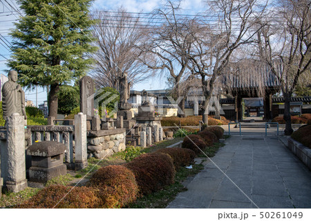 松月院 東京都板橋区 松月院 東京都板橋区 50261049