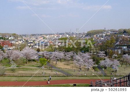 村山貯水池のダムから見た桜 村山貯水池のダムから見た桜 50261093