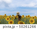 Woman is enjoy traveling inside sunflower field  50261266