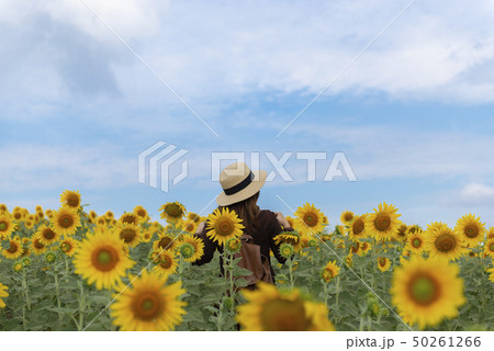Woman is enjoy traveling inside sunflower field  50261266