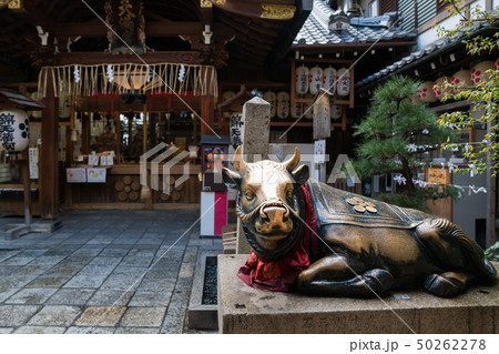京都 錦天満宮の牛の像 京都 錦天満宮の牛の像 50262278