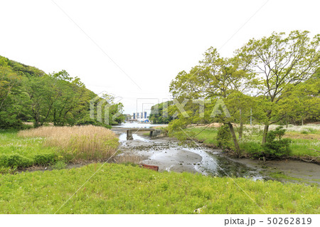 小網代（春） 50262819