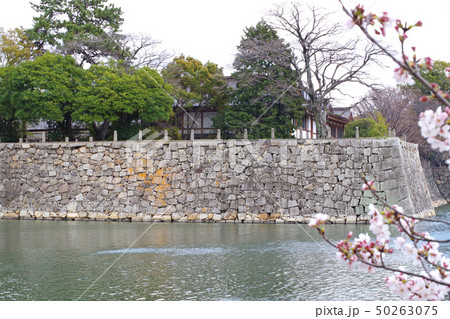 桜に彩られた広島城の石垣 桜に彩られた広島城の石垣 50263075