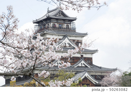 桜に彩られた広島城の天守 50263082