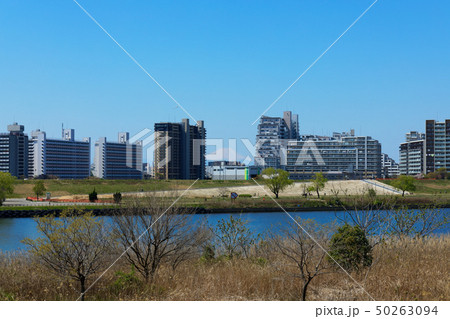 荒川沿いの住宅街と富士山 50263094
