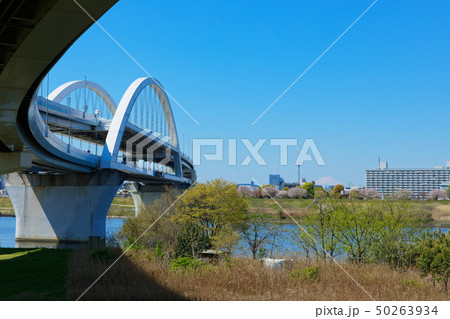 荒川堤の五色桜と江北ジャンクション　富士山 50263934