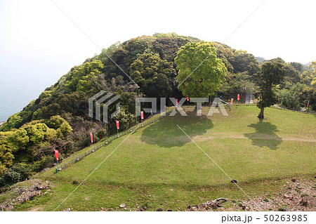 洲本城の天守から 50263985