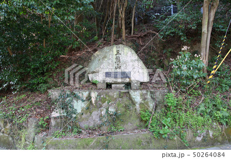 洲本城　石碑 50264084