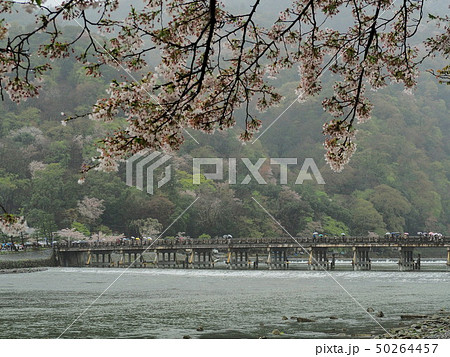 春雨に煙る 嵐山 渡月橋 春雨に煙る 嵐山 渡月橋 50264457