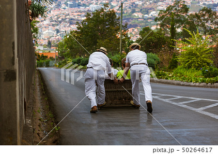 Toboggan riders on sledge in Monte - Funchal Toboggan riders on sledge in Monte - Funchal 50264617