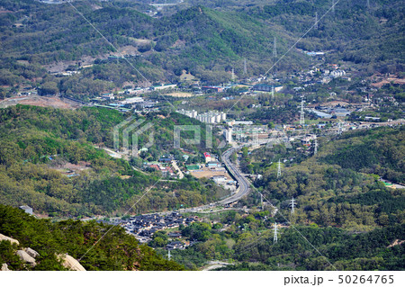 春 風景 北朝鮮産 50264765
