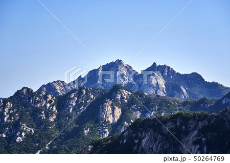 春 風景 北朝鮮産 50264769