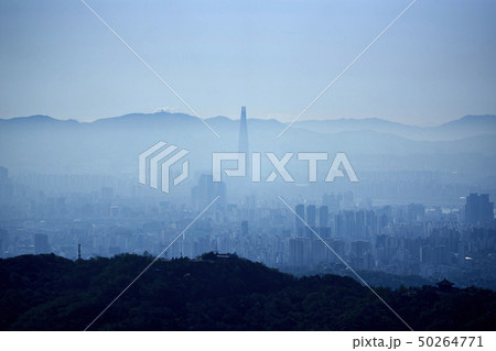 春 風景 北朝鮮産 50264771
