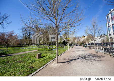 Old Cemetery in Malmo, Sweden 50264778