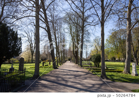 Old Cemetery in Malmo, Sweden 50264784
