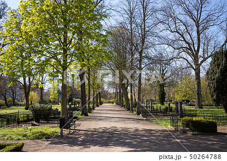 Old Cemetery in Malmo, Sweden 50264788