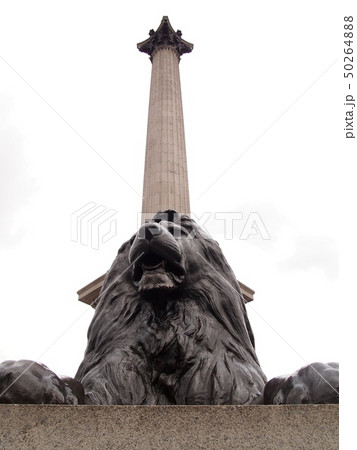 トラファルガー広場ライオン像 トラファルガー広場ライオン像 50264888