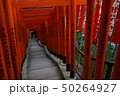 山王稲荷 50264927