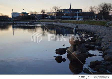 デンマーク、コペンハーゲン、人魚像 デンマーク、コペンハーゲン、人魚像 50266085