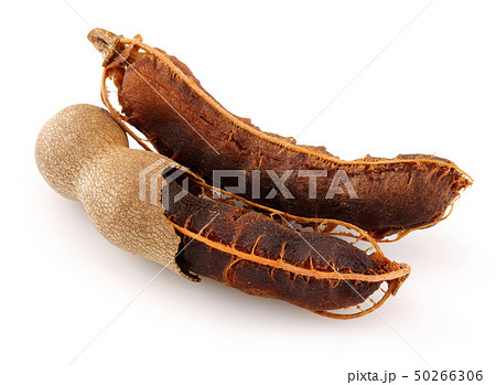 Tamarind fruit isolated on white Tamarind fruit isolated on white 50266306