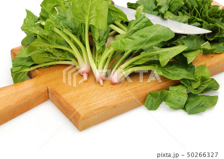 Chopped spinach and knife on wooden board 50266327