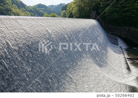 白水ダム（春） 50266402