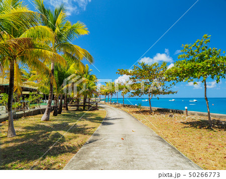 海外リゾートホテル 50266773