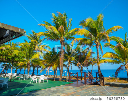 海外リゾートホテル 50266780