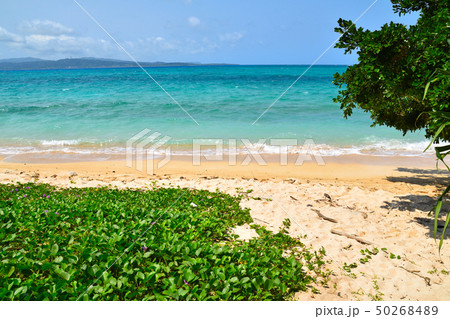 鳩間島　屋良浜 50268489