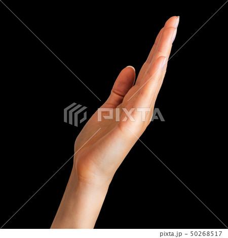 Woman showing open hand taking or showing something 50268517