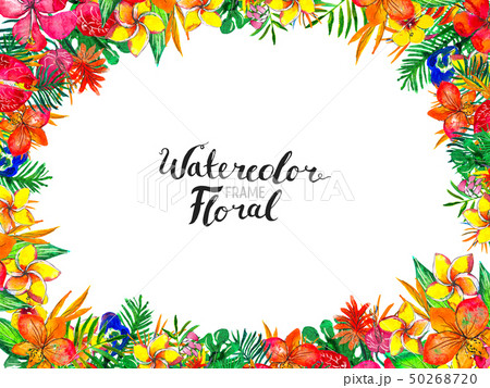 Watercolor Background with tropical plants and flowers 50268720