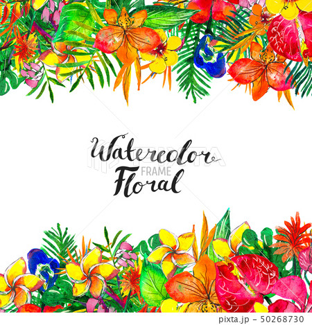 Watercolor Background with tropical plants and flowers Watercolor Background with tropical plants and flowers 50268730