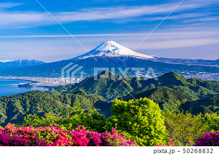 【静岡県】ツツジ咲く葛城山から富士山 50268832
