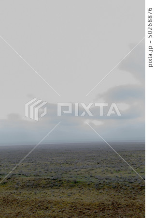 Landscape of wild Kalmyk steppe in a fog Landscape of wild Kalmyk steppe in a fog 50268876