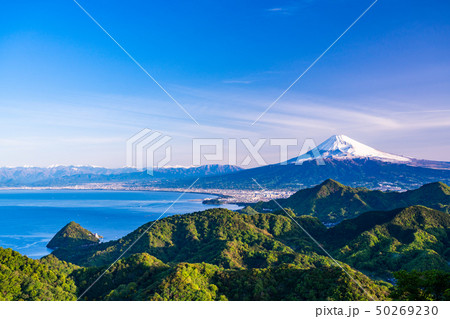【静岡県】新緑の葛城山から富士山 50269230