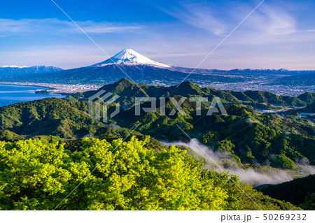【静岡県】新緑の葛城山から富士山 【静岡県】新緑の葛城山から富士山 50269232