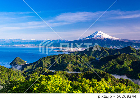 【静岡県】新緑の葛城山から富士山 50269244