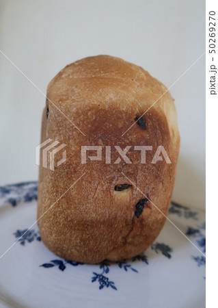 ぶどうパン ぶどうパン 50269270
