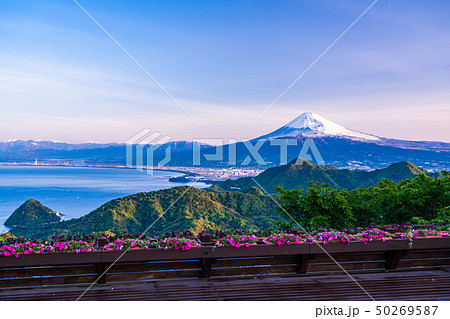 【静岡県】春の葛城山山頂から富士山 【静岡県】春の葛城山山頂から富士山 50269587