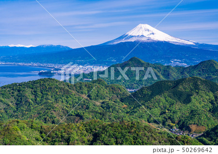【静岡県】新緑の葛城山から望む富士山 50269642