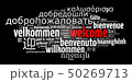 Security word cloud concept over white background 50269713