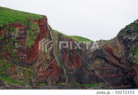 ジオパークの島知夫里島の断崖 50272353