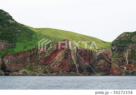 ジオパークの島知夫里島の断崖 ジオパークの島知夫里島の断崖 50272358